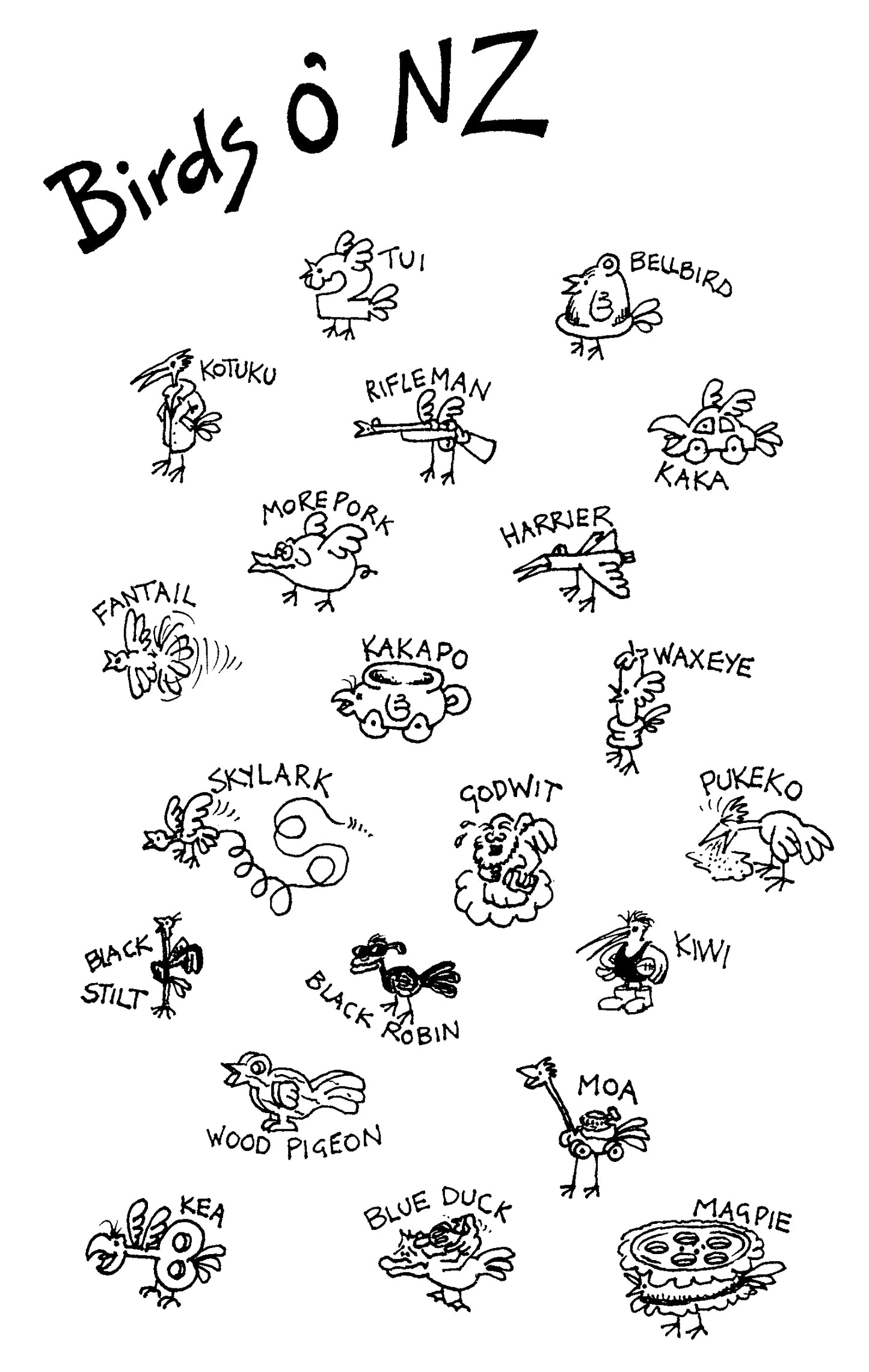 Birds O' NZ Puzzle TT-01307